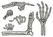 © Casoalfonso - Skeleton hands and leg elements set for halloween design