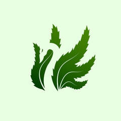 Wall Mural - Green swan cannabis logo illustration design