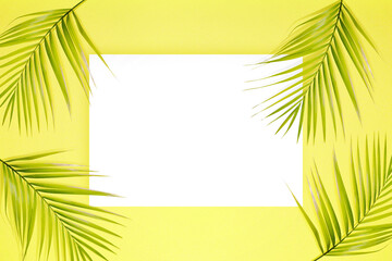 Poster - Empty white paper and green palm leaves