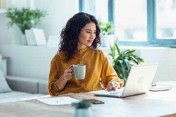 Concentrated business woman working with laptop in living room at home.