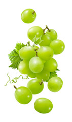 Wall Mural - Flying bunch of green grapes isolated on white background. Fresh berries falling