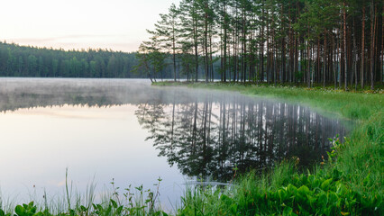 Wall Mural - happy summer morning landscape by the lake, tree reflections in calm water, light fog on the water surface