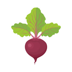 Wall Mural - Beetroot vector flat icon. Healthy food. Illustration of cartoon vegetable isolated on white.