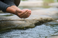 Woman Scooping Clean Water In The River By Hands. Close-up Of A Woman Holding Hands In A Clean Mountain River With Splashing Water.