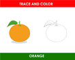 Hand drew orange outline illustration trace and color