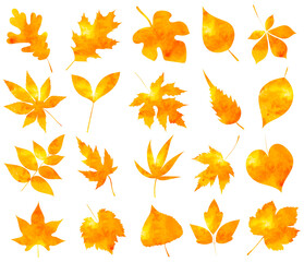Wall Mural - tree leaf watercolor autumn set silhouette on white background, isolated, vector