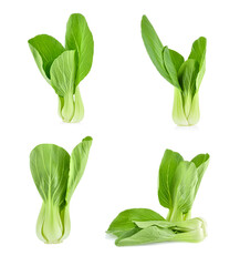 Wall Mural - Bok choy vegetable isolated on the white background.
