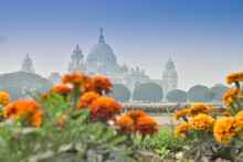 Flowers And Victoria Memorial, Kolkata , India . A Historical Monument Of Indian Architecture. It Was Built Between 1906 And 1921 To Commemorate Queen Victoria's 25 Years Reign In India.