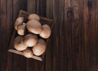 Poster - Fresh champignon mushrooms on wooden table, closeup. Space for text