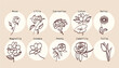 a collection of vector icons depicting various types of flowers in a simple style