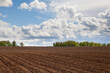 Plowed field and blue sky. agriculture plowed field and blue sky with clouds. Furrows for growing potatoes.