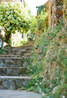 Stairs in Casal Novo, schist village in Portugal