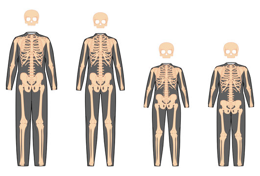 Set of Skeleton costume Human bones for whole family front view men women, boy, girl for Halloween, festivals, Day of the dead flat black color concept Vector illustration of anatomy isolated