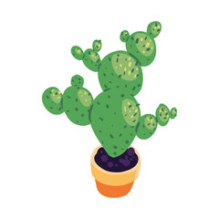 Wall Mural - cactus in pot