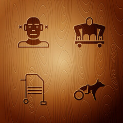 Wall Mural - Set Dog in wheelchair, Deaf, Walker and Man without legs sitting on wooden background. Vector