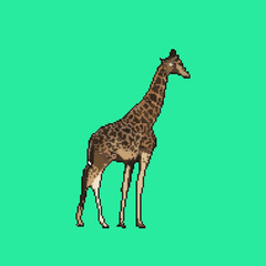 Wall Mural - Pixel art giraffe on green background, 3D rendering