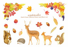 落ち葉や木の実と動物の水彩画素材セット