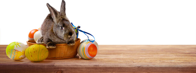 Funny Easter bunny. Happy Easter holiday concept.