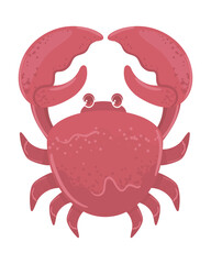 Poster - crab sea life