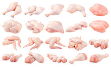 Isolated Whole Raw Chicken Parts Collage On White Background