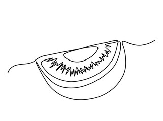 one line kiwi fruit illustration drawing. line art kiwi piece abstract vector