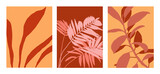 Fototapeta Boho - Minimalist vector collection of illustrations with leaves. Palm leaves. Ficus. Foliage, nature. For cards, posters, stationery, as background or template. Drawing in brown and pink shades.