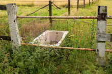 Old Fence With Cattle Waterer