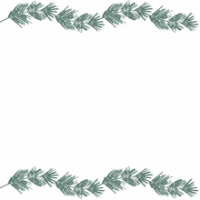 Greeting Frames, Birthdays,bows,flowers,ekibana,botany,fir Twigs,twigs With Green Leaves,greeting Ribbons,pattern,zigzags,patterns,ornate Patterns