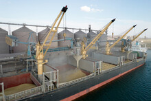 Loading Grain Into Holds Of Sea Cargo Vessel Through An Automatic Line In Seaport From Silos Of Grain Storage. Bunkering Of Dry Cargo Ship With Grain