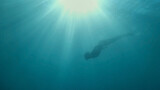 Fototapeta Sypialnia - Silhouette of free diver woman swimming in deep blue sea on breath hold. Underwater image beautiful ocean with sun rays. Unfocused image