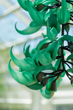 Green Jade Flower Cascade