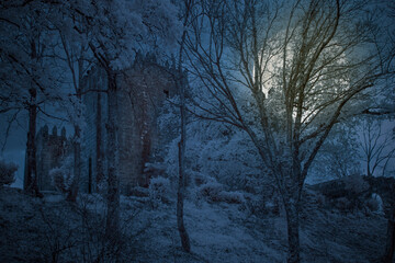 Wall Mural - Medieval castle in a full moon night