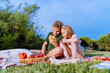 © Cavan Images - Brother and sister on a picnic looking at a smartphone.