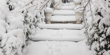 Stairs Covered With Snow, Trees In Backyard, Front Yard, Railing, Fence In Winter With Nobody