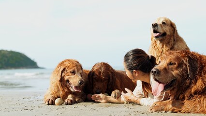 Wall Mural - Silhouette of asian woman take dog leg with ball technique teaching her pet on the beach, sitting relax and resting enjoy freedom, Female with pets happiness outdoor people lifestyle.