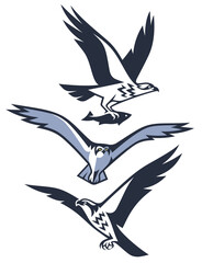 Sticker - Bird of Prey - Osprey