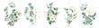 Leinwandbild Motiv Watercolor eucalyptus flower arrangement. Greenery branches and jasmine flowers clipart. Foliage bouquet for wedding, stationery, invitations, cards. Illustration isolated on white background