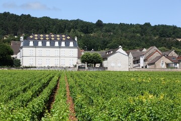 Wall Mural - Chateau de la Maltroye in Chassagne-Montrachet, Burgundy, France