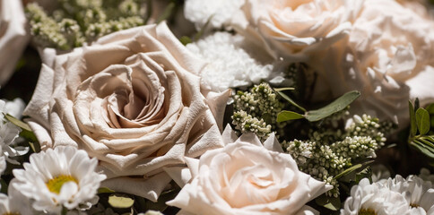 a beautiful bouquet of beige, cream roses and white chrysanthemums. background floral image of paste