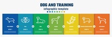 Dog And Training Concept Infographic Design Template. Included Bullterrier, Null, Null, Saluki, Scorpio, English Cocker Spaniel, Greyhound Icons And 7 Option Or Steps.