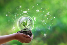 Hand Holding Green Leaf With Net-Zero Icons. CO2 Net-Zero Emission - Carbon Neutrality Concept.