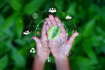 Wall Mural - plant leaves and esg icon concept in the hand for environmental, world sustainable environment conce