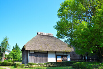 日本の原風景　農家　茅葺