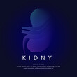 Human kidney medical structure. Vector logo kidney color silhouette on a dark background. EPS 10