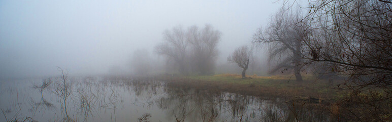 creepy landscape showing misty dark swamp in autumn