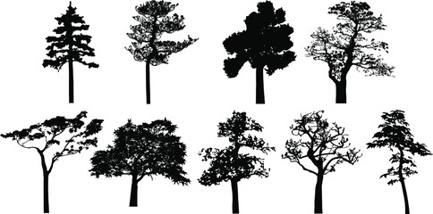 Vector silhouette of trees. Isolated eps 10.