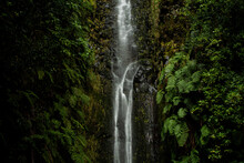 Waterfall In The Forests Of Madeira, Portugal