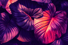 Purple Tropical Leaves Texture Background