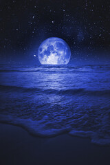 Wall Mural - night sea and full moon