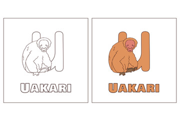 Wall Mural - A for uakari Hand Drawn Coloring Page